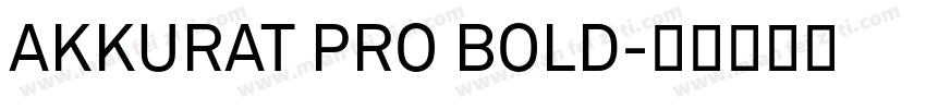 AKKURAT PRO BOLD字体转换